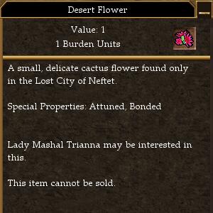 Desert Flower.jpg