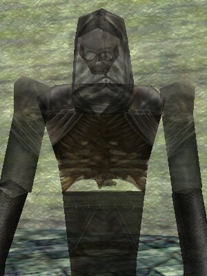 Ancient Sentinel Live.jpg