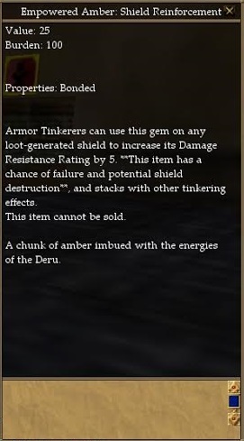 Empowered Amber- Shield Reinforcement.jpg
