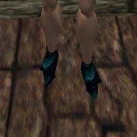 Leather Shoes Live.jpg