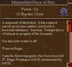 Mummified Piece of Skin.jpg