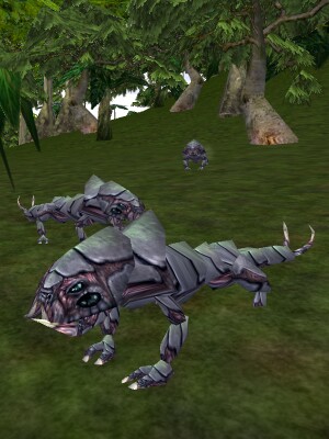 Spiny Chittick Live.jpg
