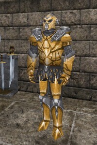 Guard Liaza Live.jpg