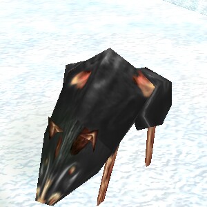 Joey Live.jpg