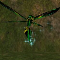 Poisonous Brier Wasp Live.jpg