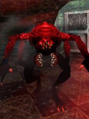 Fanatical Mukkir Ward Guardian Live.jpg