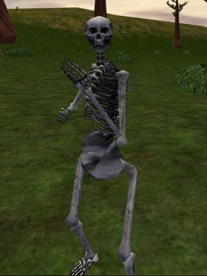 Old Bones Live.jpg