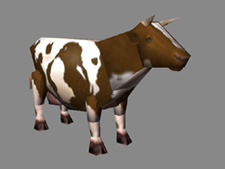 Cattle small.jpg