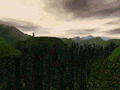 Video.gif