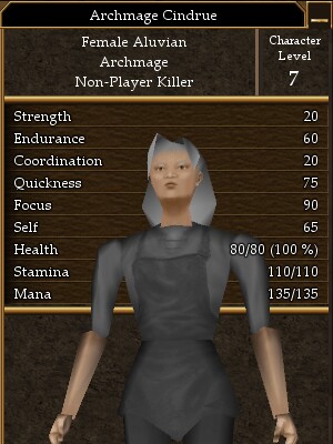 Archmage Cindrue.jpg