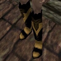 Viamontian Laced Boots Live.jpg
