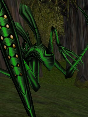 Bile Grievver Live.jpg