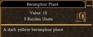 Berimphur Plant.jpg