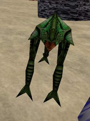 Shallows Shredder Live.jpg
