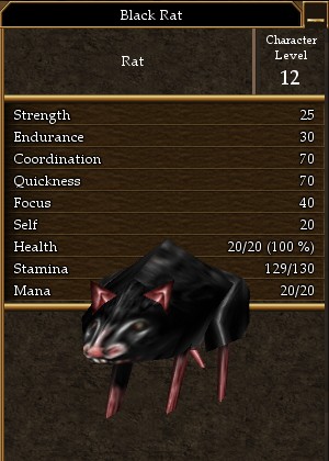 Black Rat.jpg
