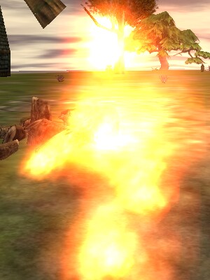 Flare Live.jpg
