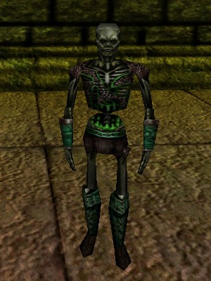 Saelar Live.jpg