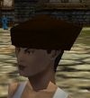 Cap (Store) Arwic Brown Live.jpg