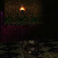 Insatiable Vault Live 2.jpg