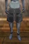 Squalid Leggings Argenory Live.jpg
