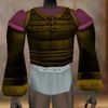 Amuli Coat (Infiltrator Master) Berimphur Live.jpg