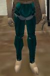 Noble Leggings Lapyan Live.jpg