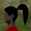 Haircut Dark 5 Texture Live.jpg