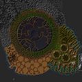 South Direlands