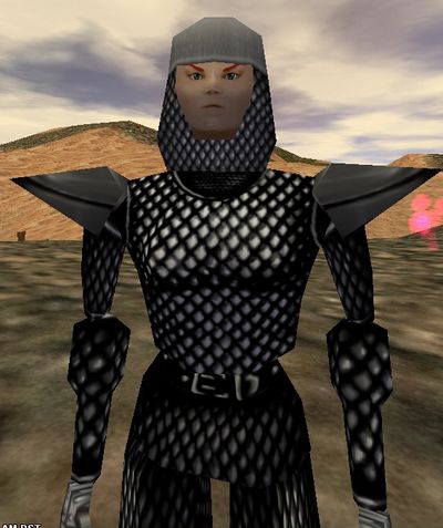 Full Scalemail Suit Upper Live.jpg
