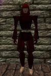 Chainmail Armor Hennacin Live.jpg