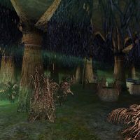 Burun Cavern Live 3.jpg