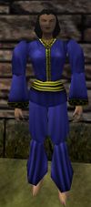 Asheron's Supreme Raiment Colban Live.jpg