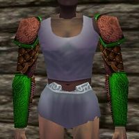 Nariyid Sleeves Live.jpg