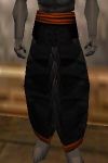 Amuli Leggings (Infiltrator Master) Thananim Live.jpg