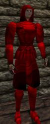 Doppelganger Robe Hennacin Live.jpg