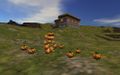 Teaser 2005-10 12.jpg