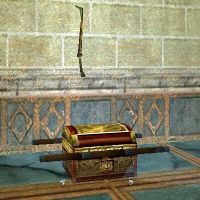 Noble Brace Chest