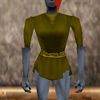 Tunic Berimphur Live.jpg