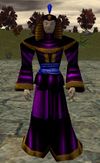 Empyrean Over-Robe Purple Live.jpg