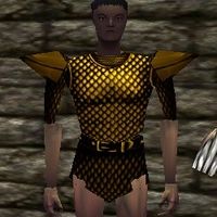 Scalemail Shirt Live.jpg