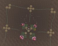 Aerbax Citadel from above