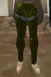 Noble Leggings Berimphur Live.jpg