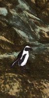 Penguin (Town Network Painting) Live.jpg