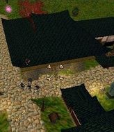 Jorgluuk Live.jpg