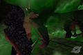 Thumbnail for version as of 13:37, 9 June 2023