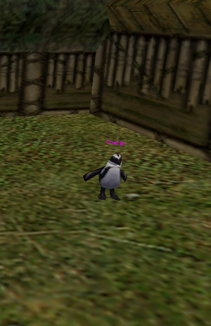 Chef B Live.png