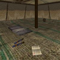 85.2S, 4.4W - Meshenq's Camp Live 2.jpg