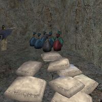 Renegade Fortress 5 Live.jpg