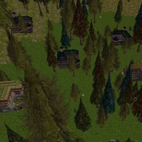 Wolfenvale Live.jpg