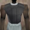 Armoredillo Hide Breastplate Argenory Live.jpg